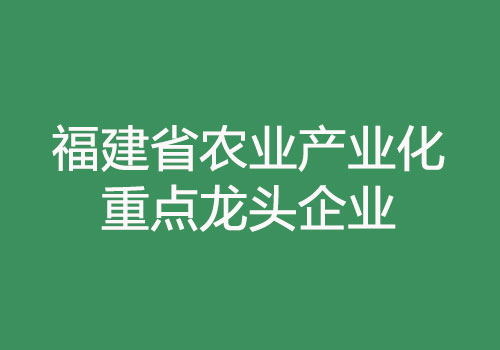 福建省農(nóng)業(yè)產(chǎn)業(yè)化省級重點龍頭企業(yè).jpg