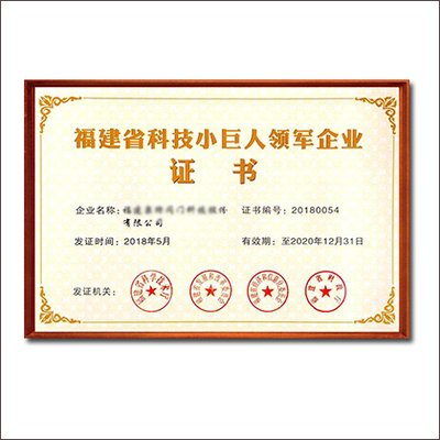 福建省科技小巨人