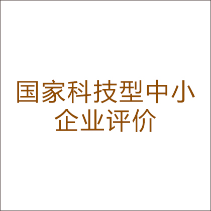 國(guó)家科技型中小企業(yè)評(píng)價(jià)